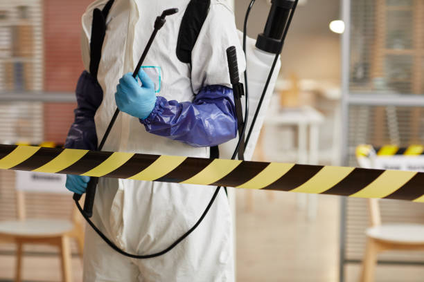 Professional Sewage Cleanup technician working in Robertsville, OH